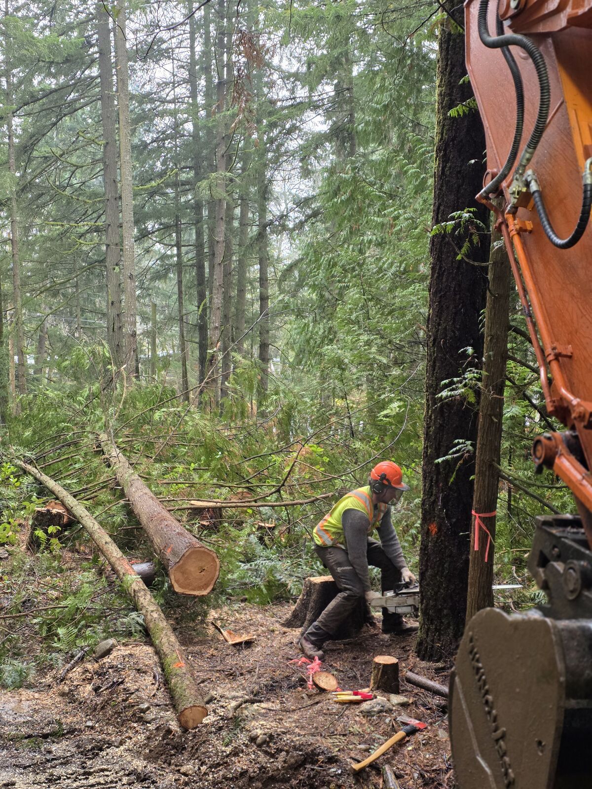Land clearing and excavation at the Cobble Hill house and lot development — photo 2