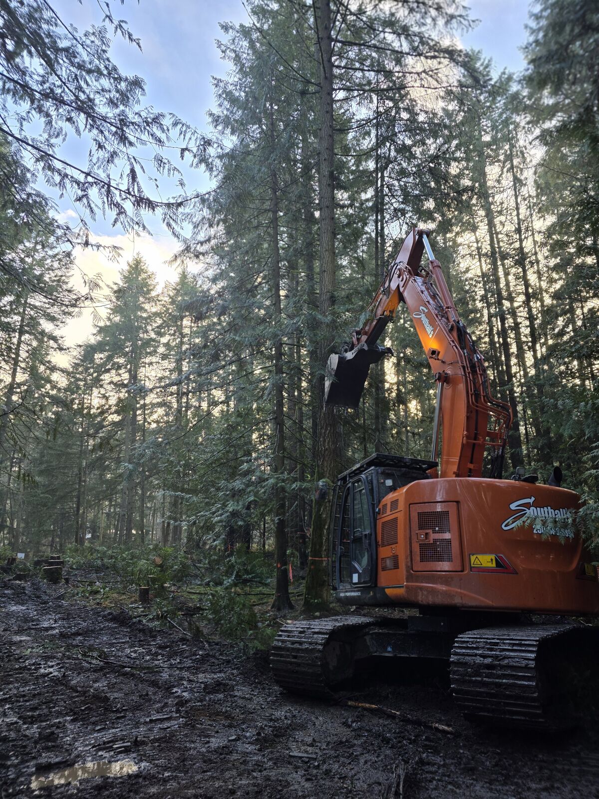 Land clearing and excavation at the Cobble Hill house and lot development — photo 3