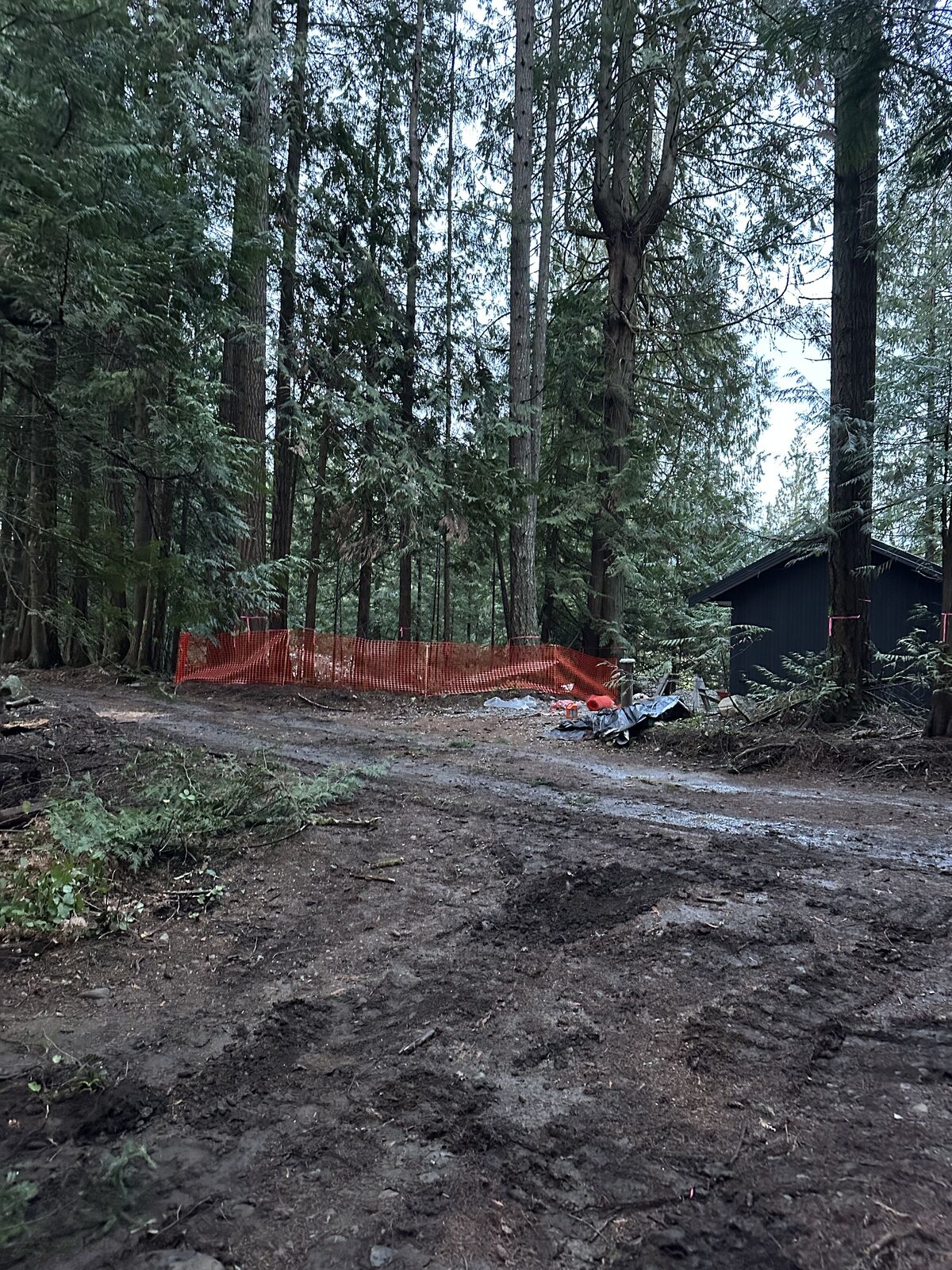 Land clearing and excavation at the Cobble Hill house and lot development — photo 4