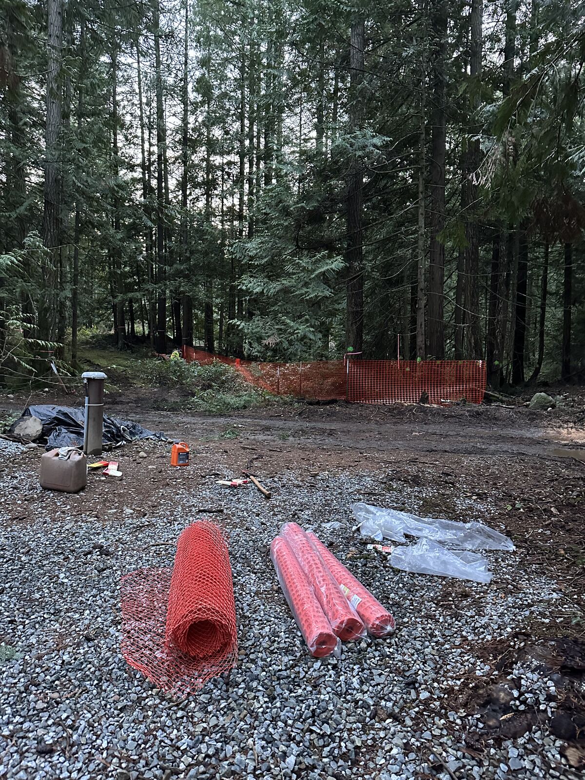 Land clearing and excavation at the Cobble Hill house and lot development — photo 5