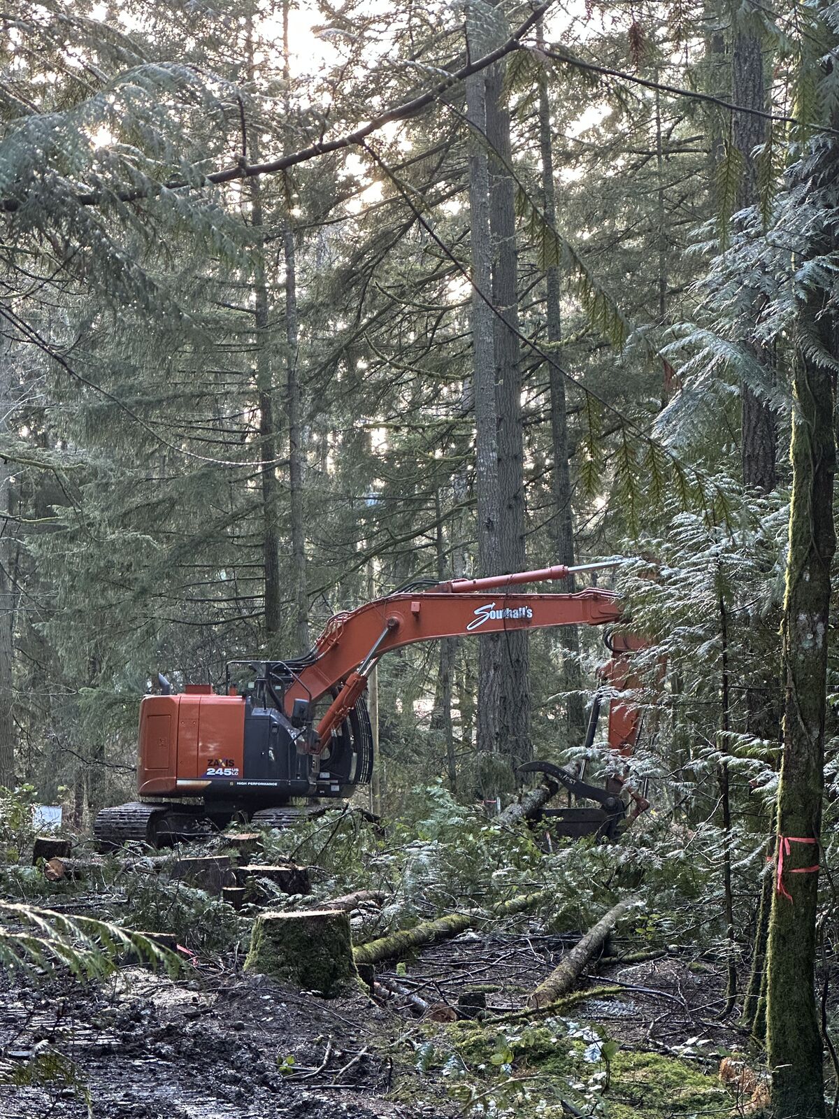 Land clearing and excavation at the Cobble Hill house and lot development — photo 6