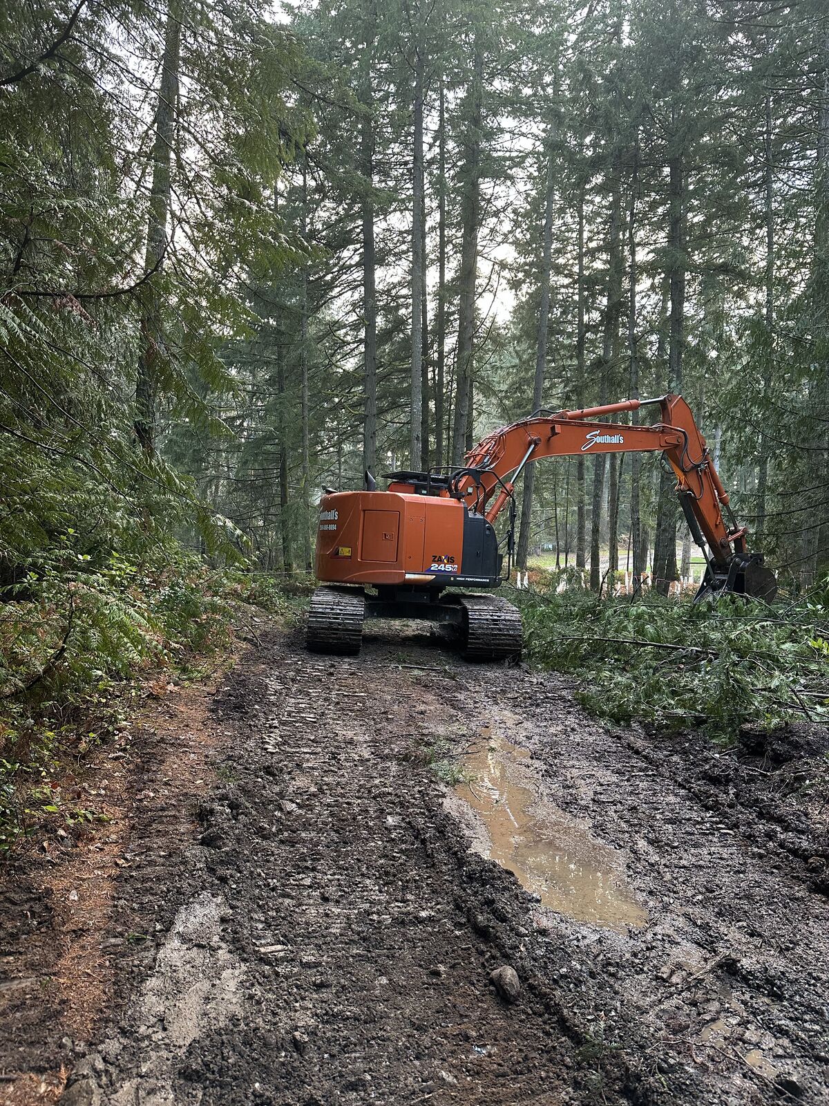Land clearing and excavation at the Cobble Hill house and lot development — photo 7