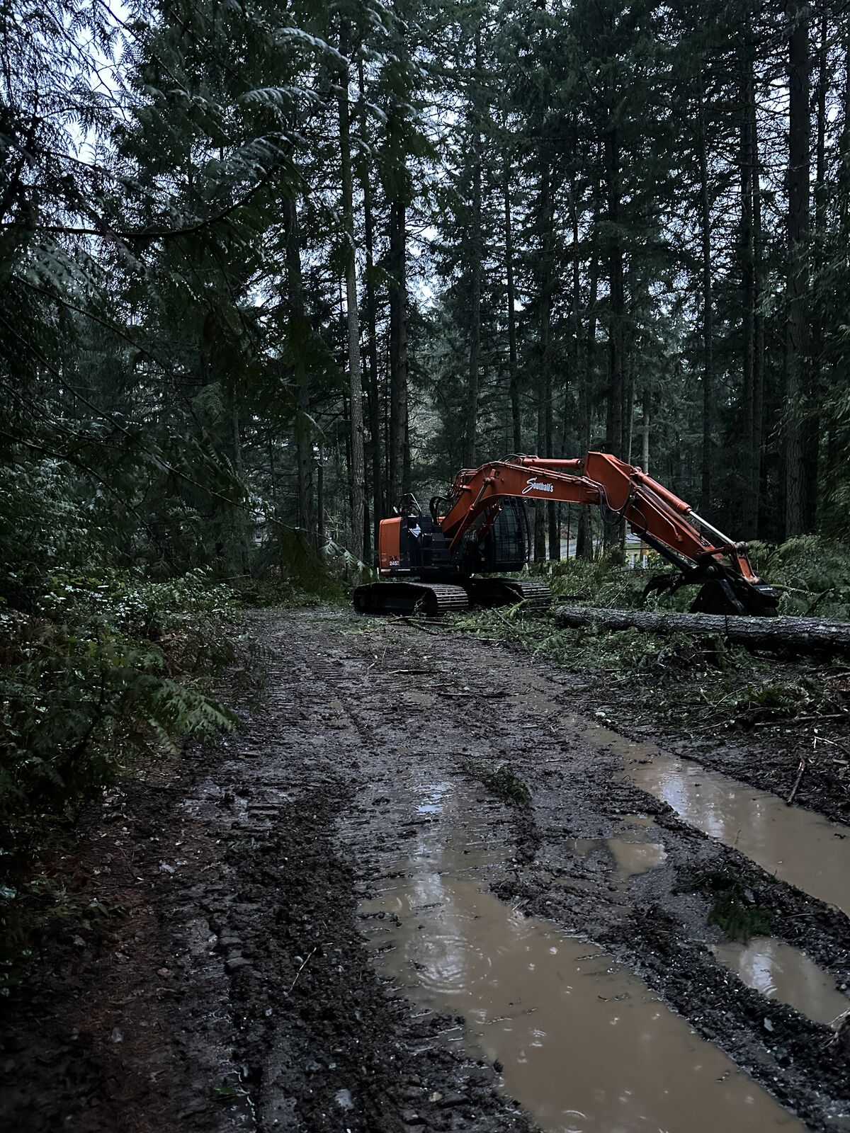 Land clearing and excavation at the Cobble Hill house and lot development — photo 8