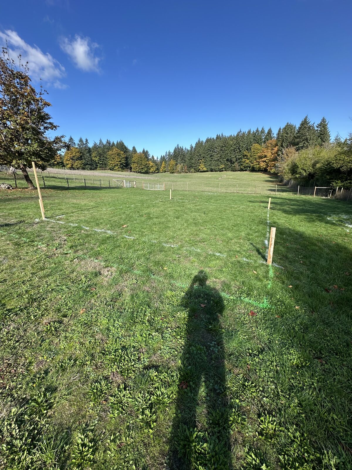 Site before excavation — Mill Bay excavation and foundation project