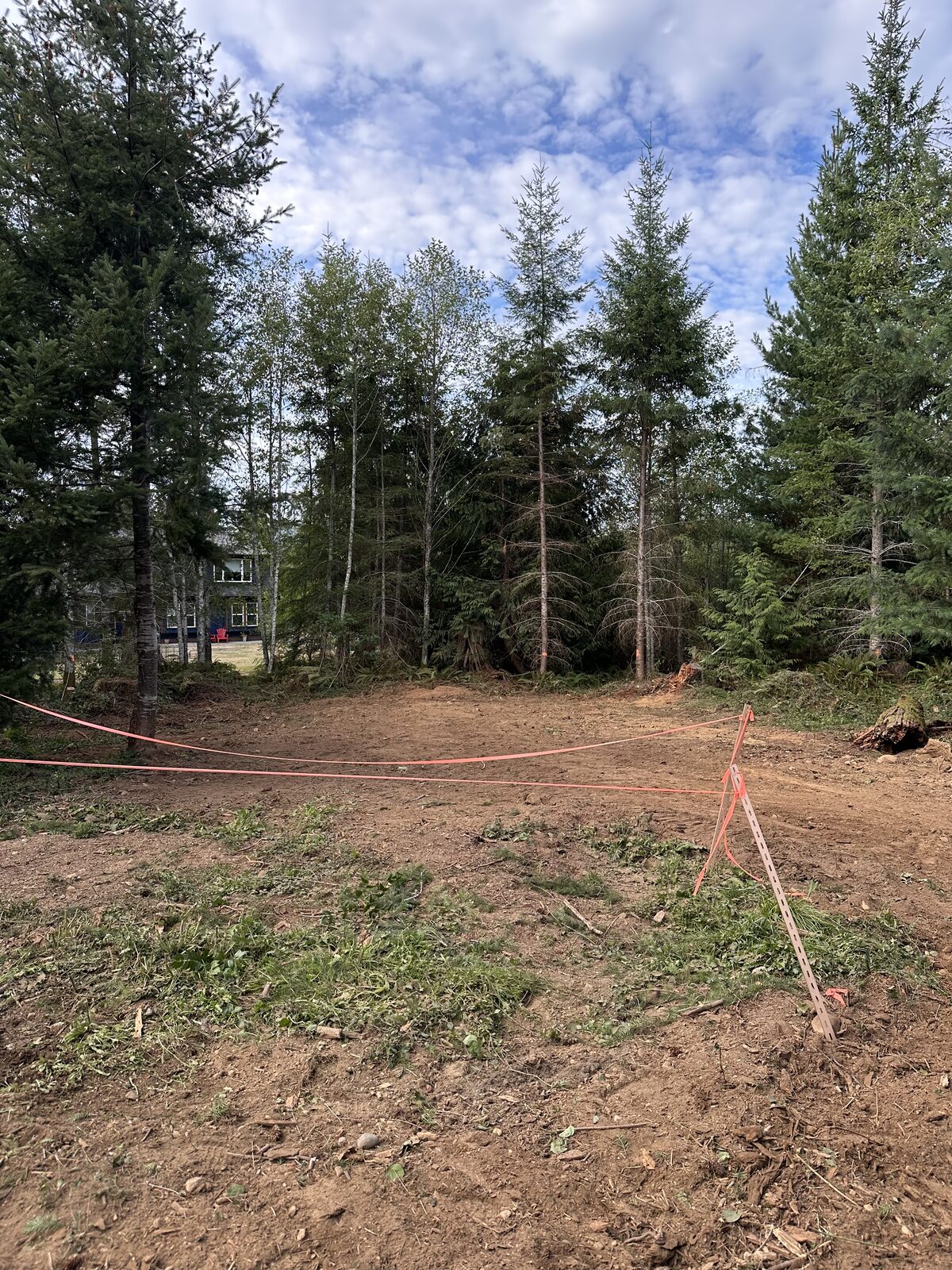 Cleared ground bordered by trees in West Shawnigan