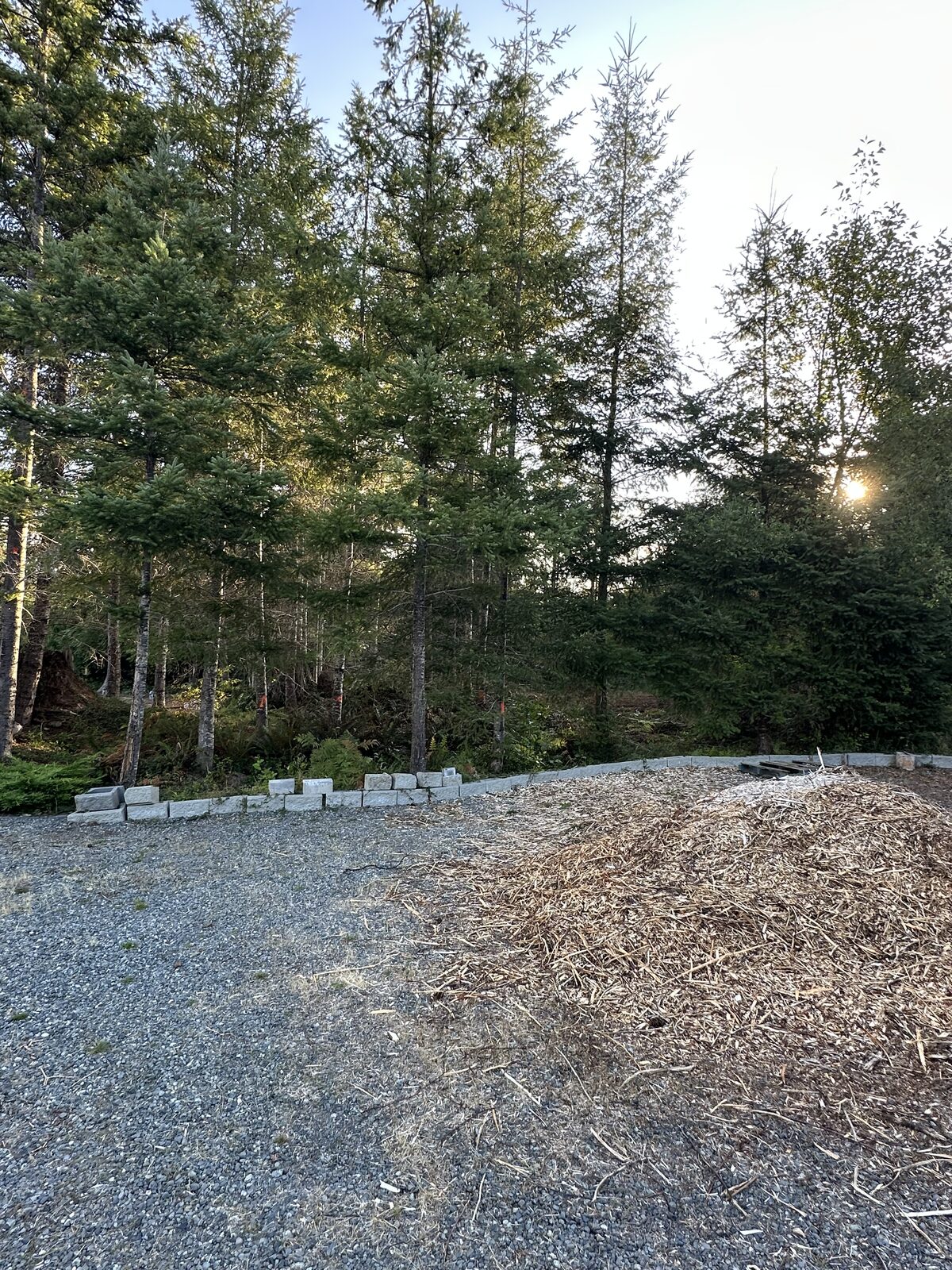 Gravel area and forest edge at the land-clearing site