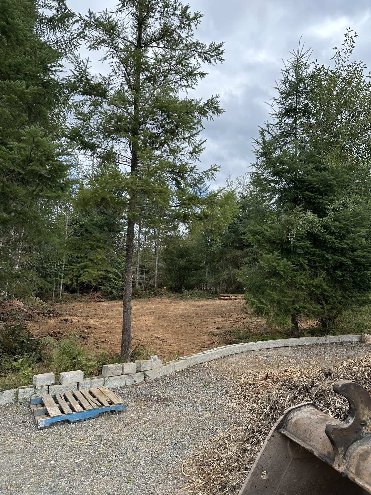 View across the gravel area to cleared land in West Shawnigan