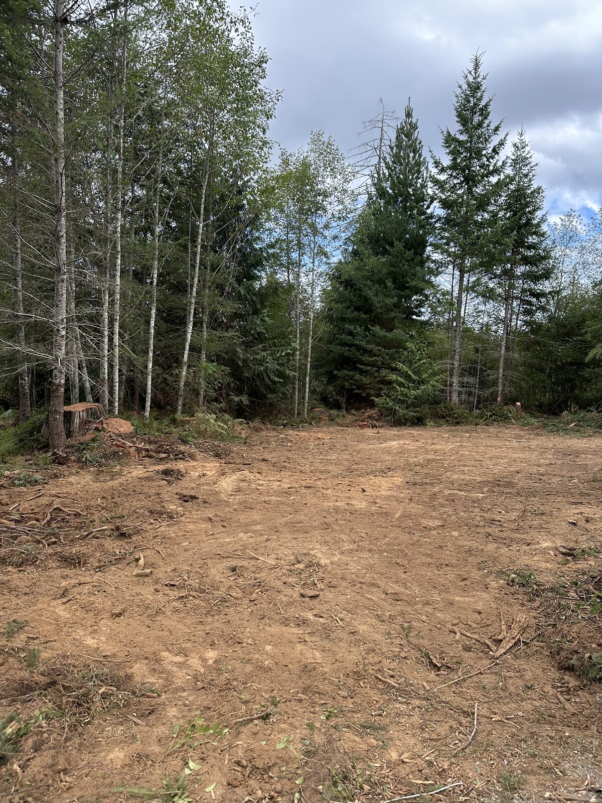 Open cleared area with surrounding trees in West Shawnigan