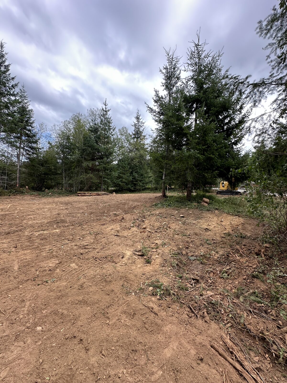 Cleared site surface after land-clearing work